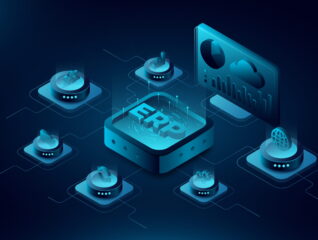 25644130_7076235 (1) (1) Custom ERP